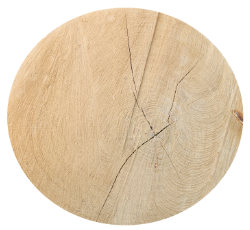 A circular piece of wood with a cut in it.