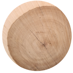 A circular piece of wood with a hole in it.