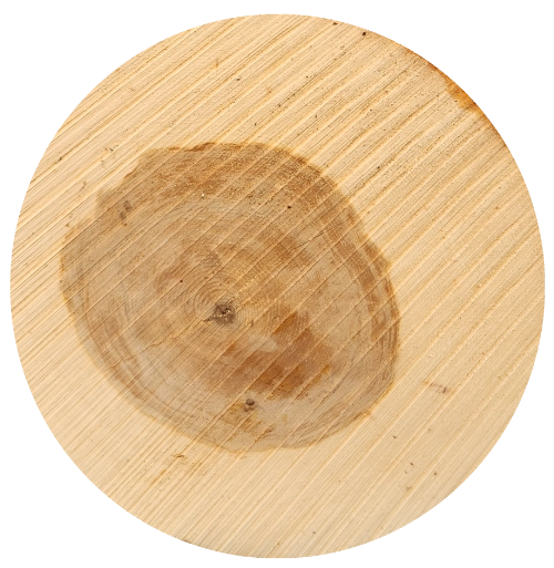Hickory Log End
