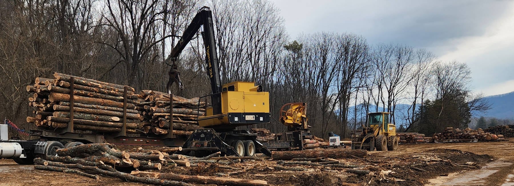 A logging site with heavy machinery loading cut logs onto a truck trailer; bare trees and distant mountains are visible in the background.